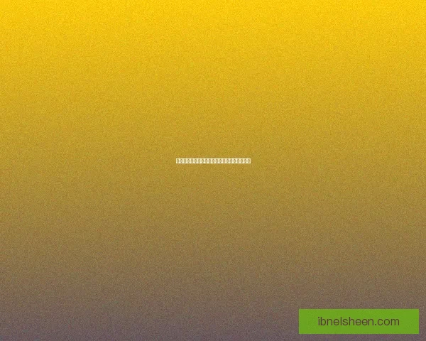 手机宝书网无法访问的原因分析与解决方法探讨